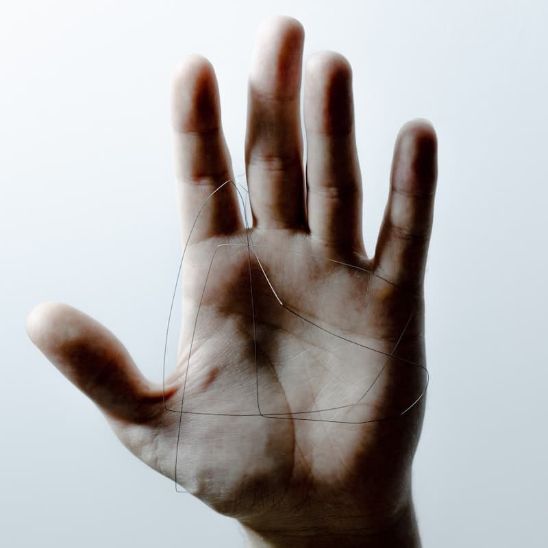 Palm Reader